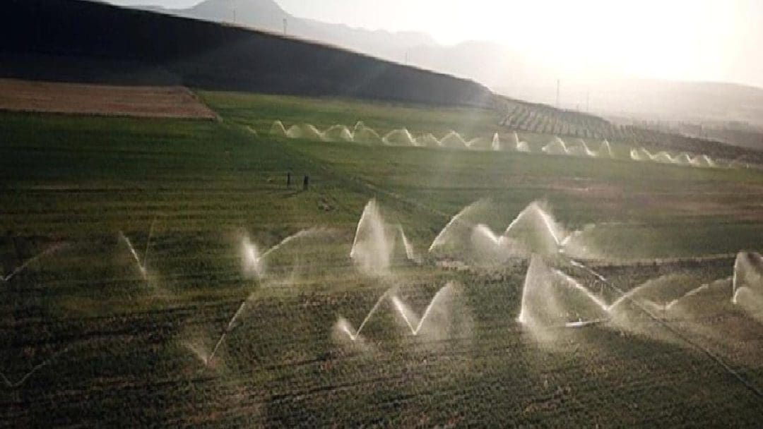 Giriş ve Yasal Dayanak