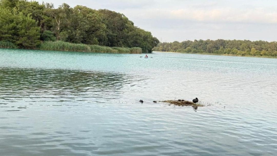 Doğa Fotoğrafçısının Gözlemleri