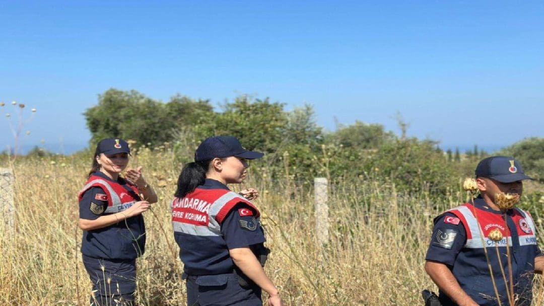 Aydın İl Jandarma Komutanlığı Çevre, Doğa ve Hayvanları Koruma Timleri Tülüşah Bitkisinin Korunmasında Öncü Rol Üstleniyor