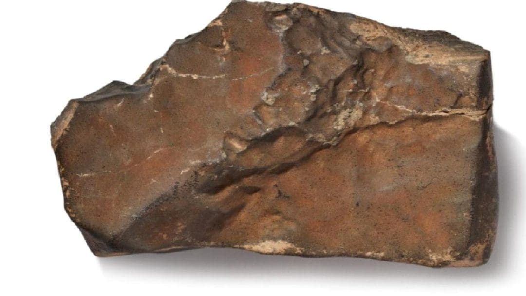 Göz kamaştıran büyüklüğüyle dikkat çekiyor