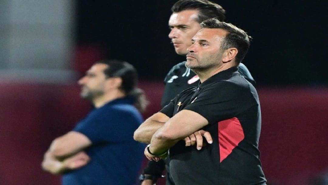 Özet