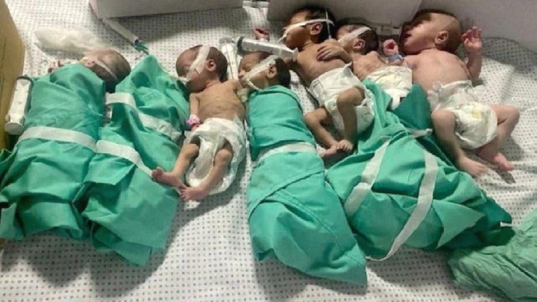 Gazze'de Savaş ve Kuşatma Politikalarının Yıkıcı Sonuçları