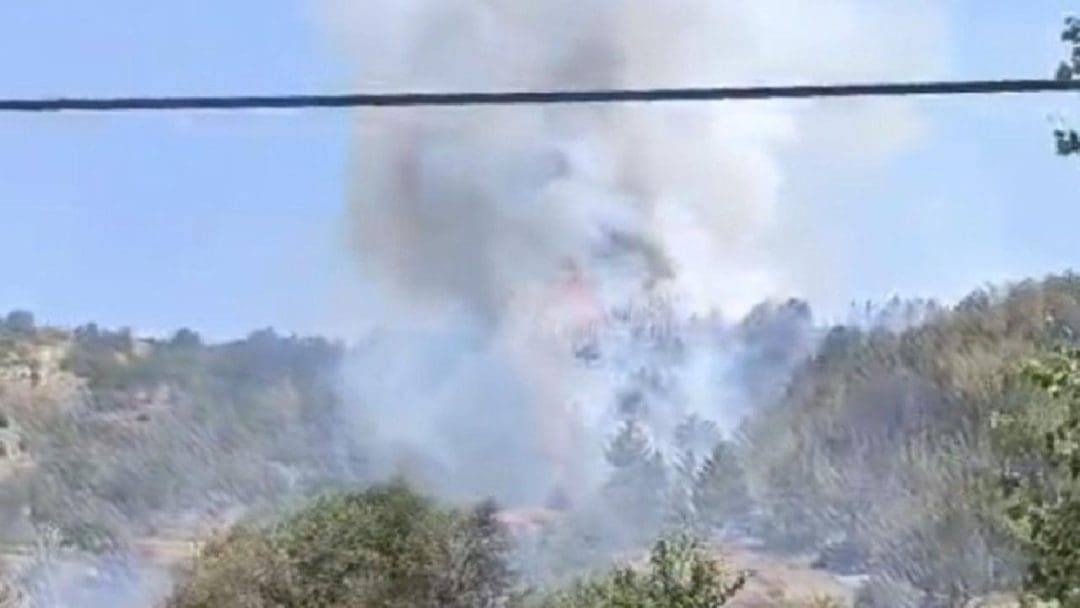 Gölpazarı İlçesinde Yeni Orman Yangını Bildirildi
