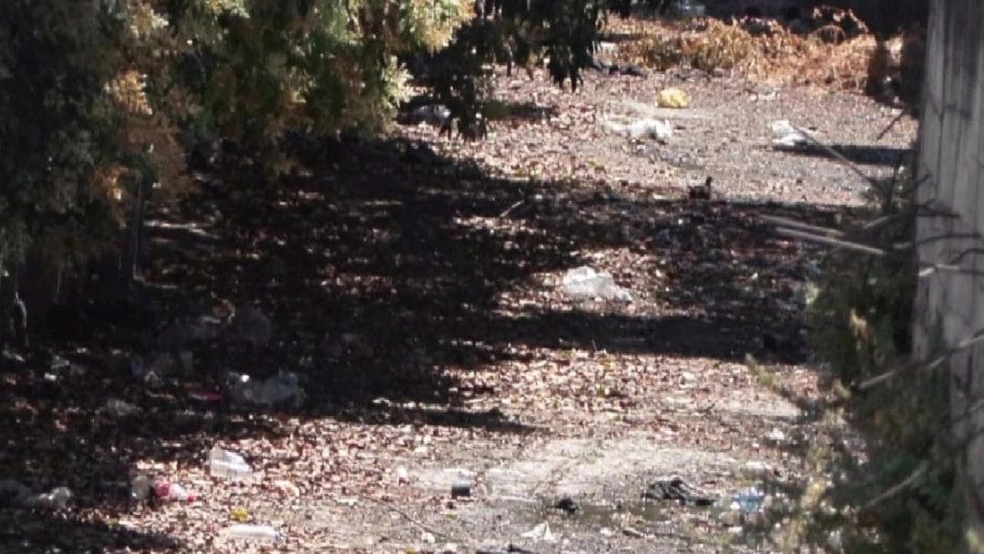 Sağlık ve Güvenlik Endişeleri