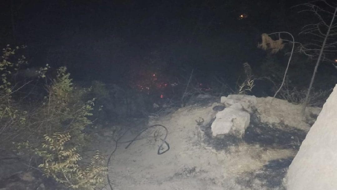 Darende ilçesinde bahçe yangını paniğe neden oldu