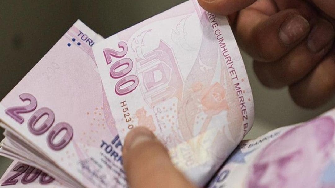 Sosyal ve Ekonomik Destek (SED) Yardımı Nedir?