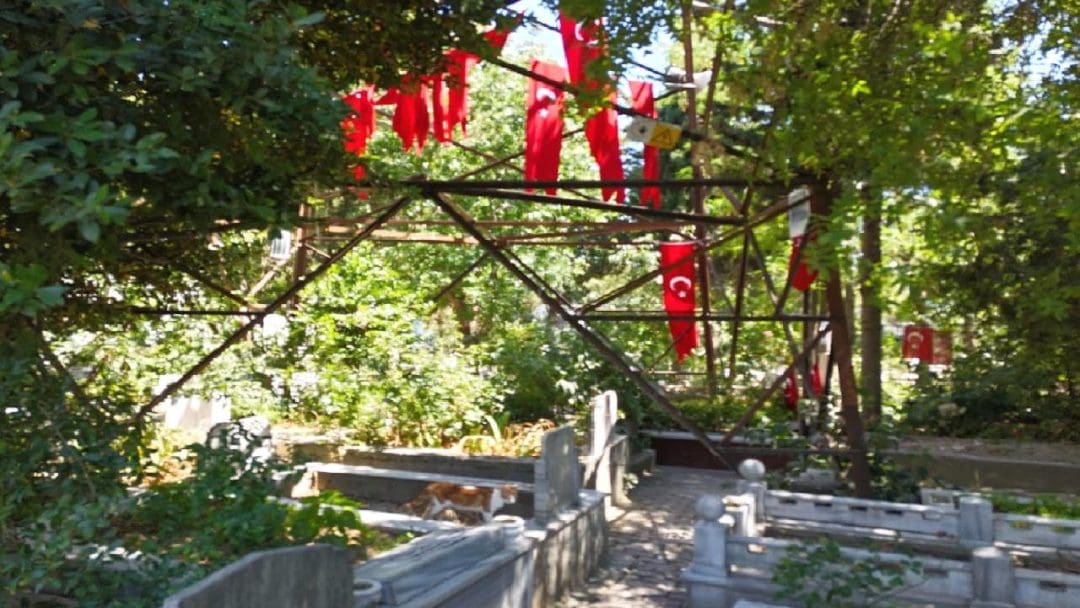 Terörsüz Türkiye Süreci ve Bayraklandırma Hareketi