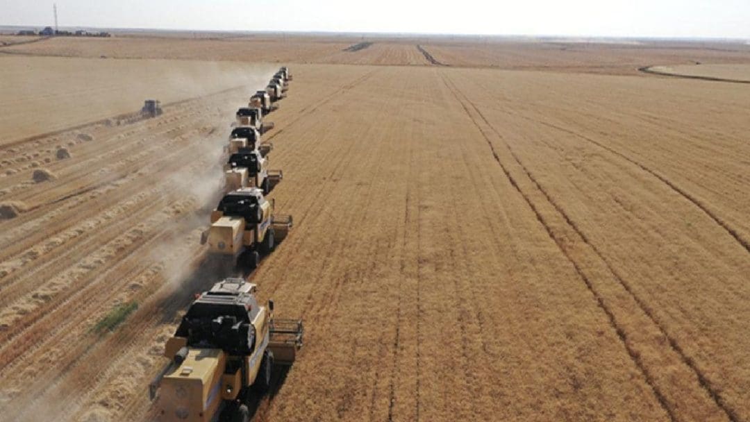 Kırklareli İli’nde Hasat Süreci ve Güncel Durum
