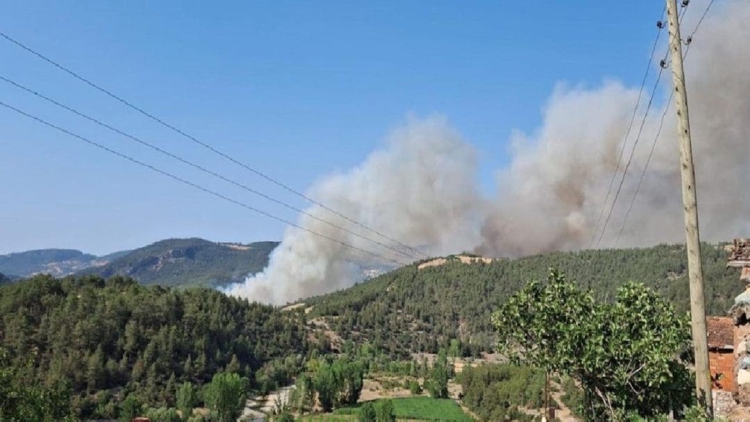 Türkiye'nin farklı bölgelerinde devam eden orman yangınlarıyla ilgili gelişmeler