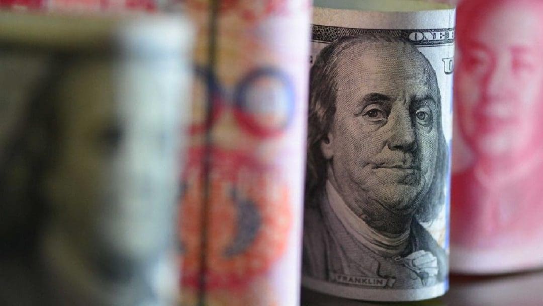 BRICS Ülkeleri ve Merkez Bankalarının Dolar Dışındaki Çabaları